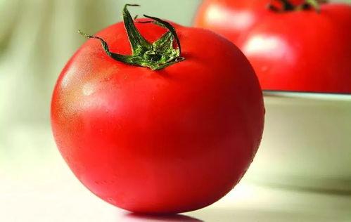 读心吃瓜番茄小说娱乐圈,番茄小说中的娱乐圈风云录