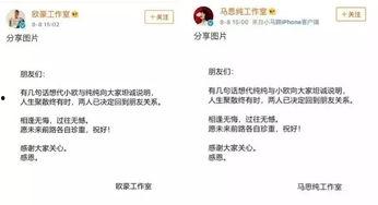 娱乐圈吃瓜爆料张翰,揭秘背后的真相与争议